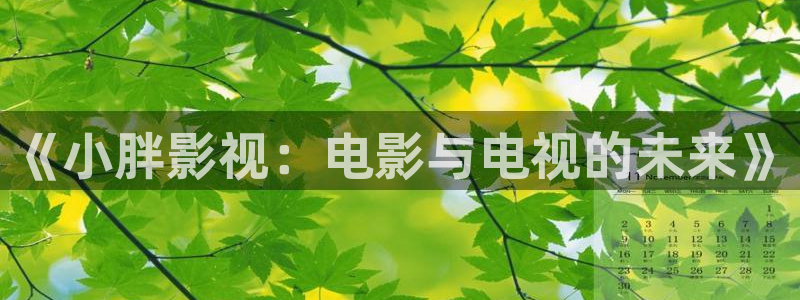 98影院在线观看免费播放电视剧大全97：《小胖影视：电影与电视的未来》