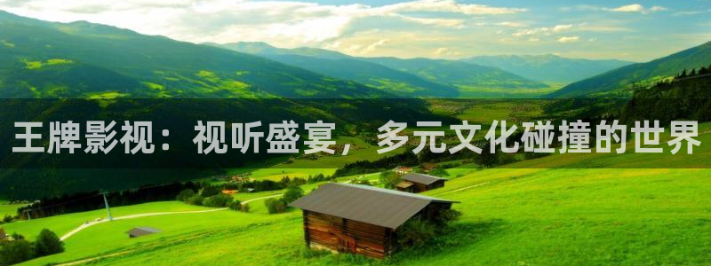 超碰97人人在线：王牌影视：视听盛宴，多元文化碰撞的世界