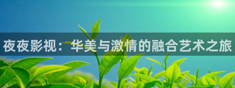 超pen个人视频97：夜夜影视：华美与激情的融合艺术之旅