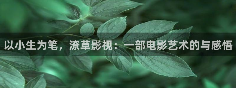 97在线免费公开视频：以小生为笔，潦草影视：一部电影艺术的与感悟